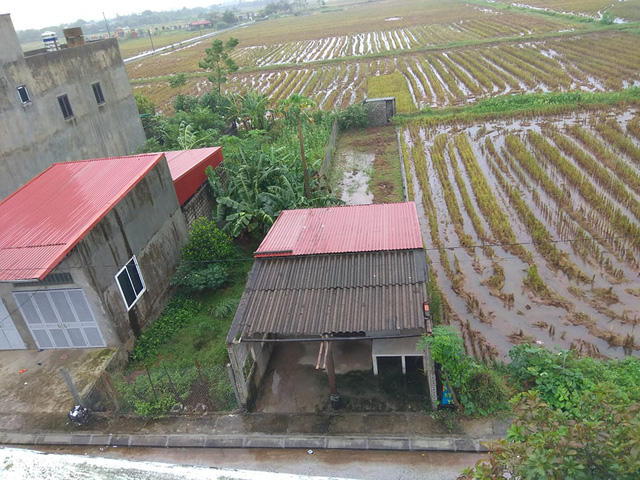 “Về quê nuôi cá và trồng rau”, giấc mơ xa vời với người trẻ khi giá đất ở quê đắt ngang ngửa Hà Nội - Ảnh 1.