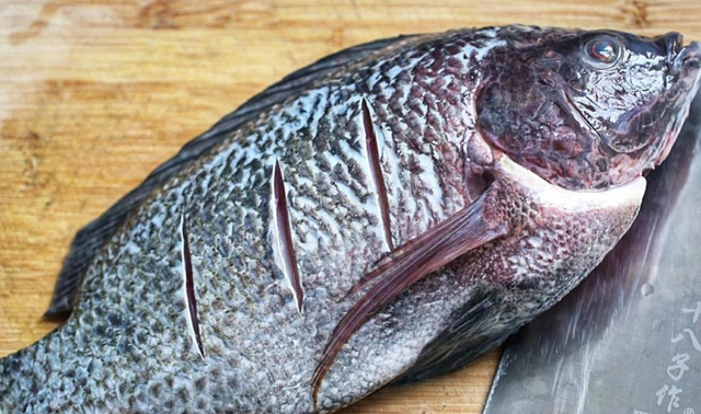 Khi đi chợ, đừng bao giờ chọn 4 loại cá này vì bẩn nhất chợ, không tươi ngon lại có thể rước bệnh về cho cả gia đình - Ảnh 6.