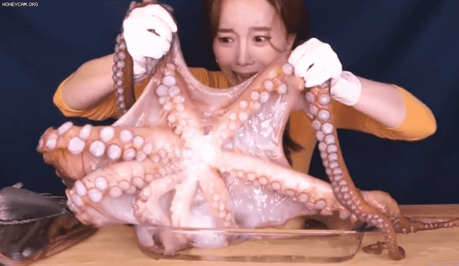 YouTuber Hàn Quốc bị phản ứng dữ dội vì bày combo ghê rợn bạch tuộc khổng lồ và cá kèo: Quá tàn nhẫn, đây là ngược đãi động vật! - Ảnh 3.