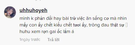 YouTuber Hàn Quốc bị phản ứng dữ dội vì bày combo ghê rợn bạch tuộc khổng lồ và cá kèo: Quá tàn nhẫn, đây là ngược đãi động vật! - Ảnh 8.