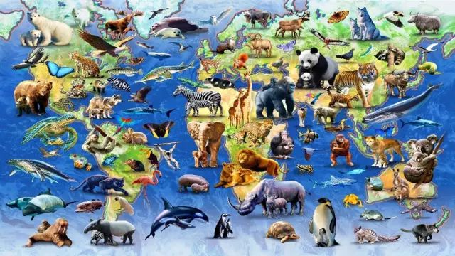 Mười sự thật về thế giới động vật - Ảnh 10.