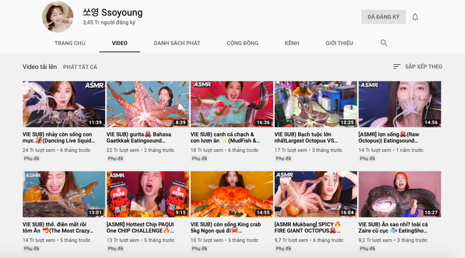 YouTuber Hàn Quốc bị phản ứng dữ dội vì bày combo ghê rợn bạch tuộc khổng lồ và cá kèo: Quá tàn nhẫn, đây là ngược đãi động vật! - Ảnh 9.