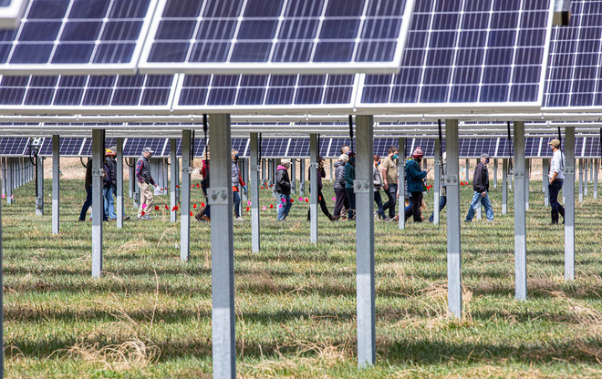Điện nông: Những cánh đồng năng lượng mặt trời bốn trong một của thế hệ trẻ - Ảnh 7.