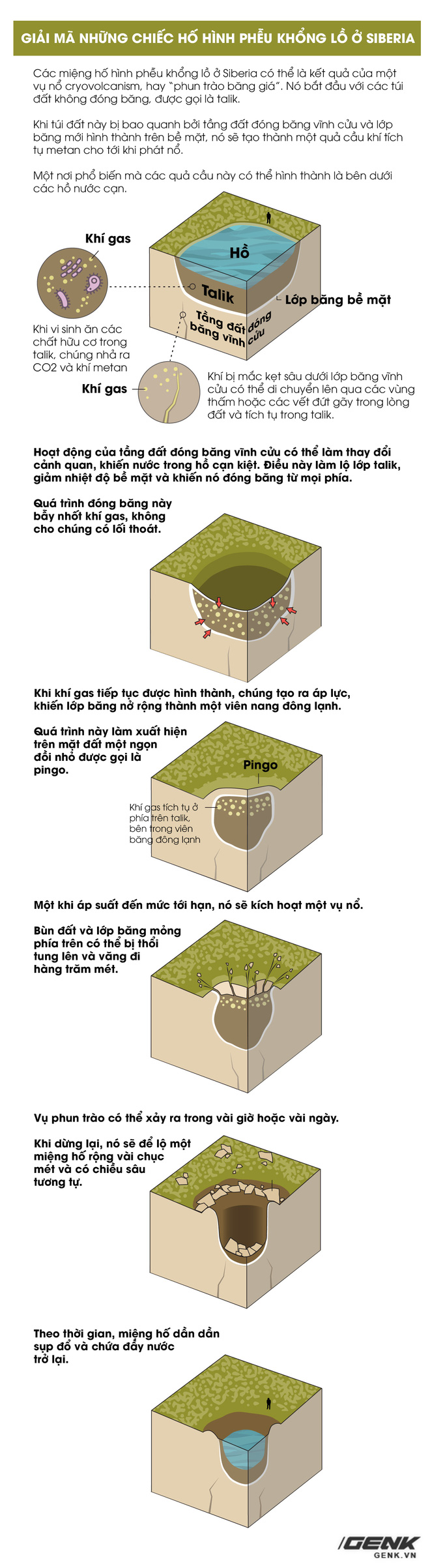 Hàng chục chiếc hố hình phễu khổng lồ được phát hiện ở Siberia, chúng đến từ đâu? - Ảnh 8.