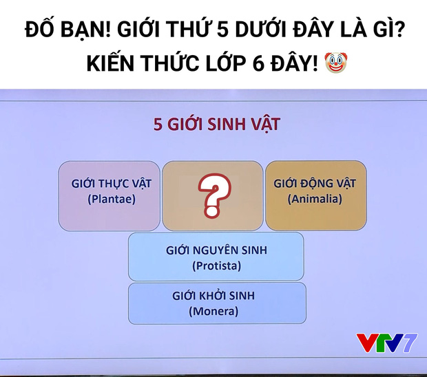 Chương trình trên sóng VTV7 ra câu đố dành cho học sinh lớp 6, người lớn nào cũng từng học qua song đành bất lực vì quá khó! - Ảnh 1.