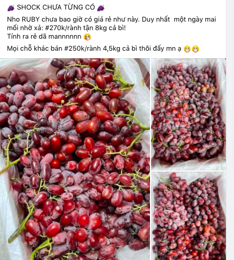 Sự thật về loại nho không hạt, siêu ngọt, siêu giòn và chỉ hơn 30.000 đồng/kg đang gây sốt tại Việt Nam - Ảnh 3.