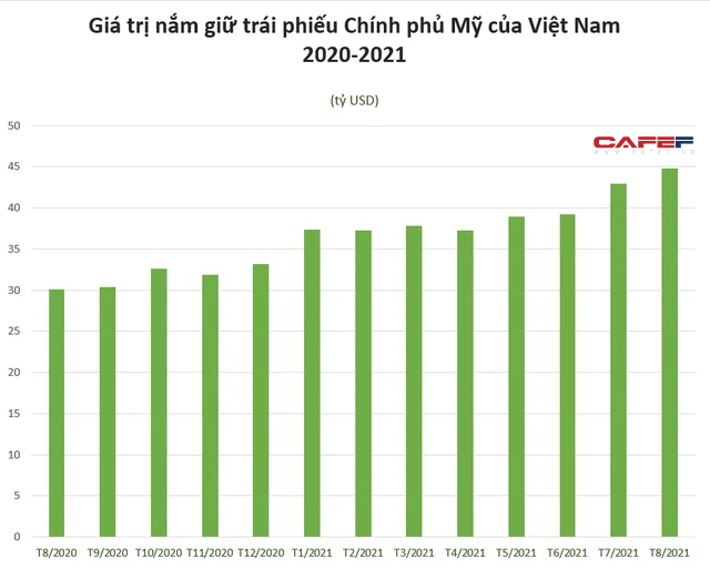 Đằng sau việc Việt Nam là chủ nợ thứ 30 của Mỹ  - Ảnh 1.