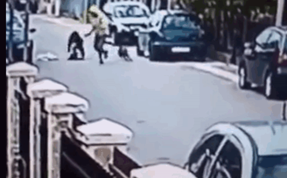 Clip: Đi cướp túi xách, nam thanh niên bỏ chạy vì bị chó đuổi