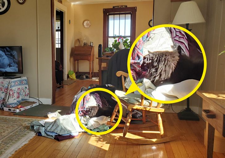 Truy tìm nhanh con mèo ẩn nấp trong bức tranh, ai nhìn ra được gọi là "đại  tài"