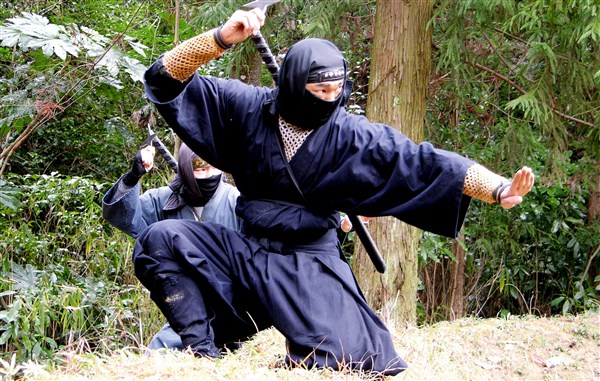 Ninja - Chiến binh bí ẩn - Ảnh 1.