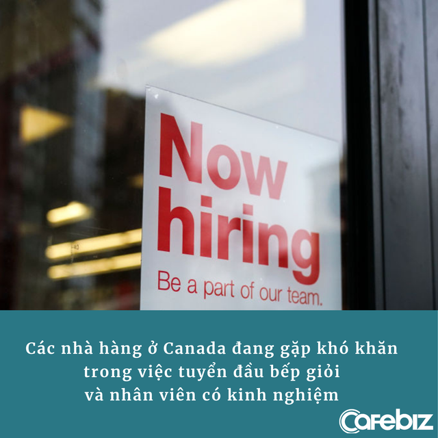 Tuyển nhân viên rửa bát lương 1,1 tỷ đồng, không cần bằng cấp hay kinh nghiệm, đi làm luôn: Tin tuyển dụng gây ngỡ ngàng của một nhà hàng Canada - Ảnh 2.