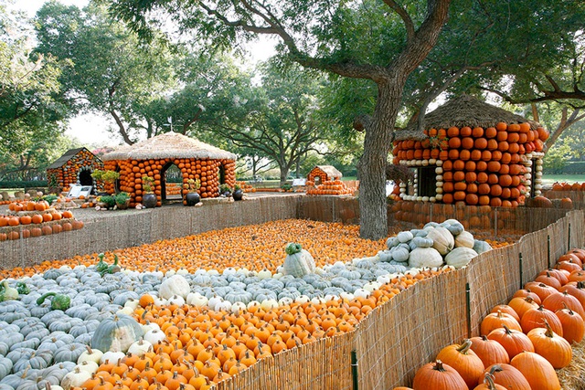 Độc đáo ngôi làng cổ tích được làm từ 90.000 quả bí ngô để đón lễ hội Halloween - Ảnh 5.