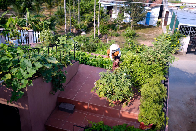 Nhà Quảng Ngãi thắng giải do tạp chí Quốc tế bình chọn: Nấu bếp củi, nuôi gà giữa căn nhà đầy chất nghệ, vườn rau trên mái tái hiện sinh động nếp sống làng quê - Ảnh 5.