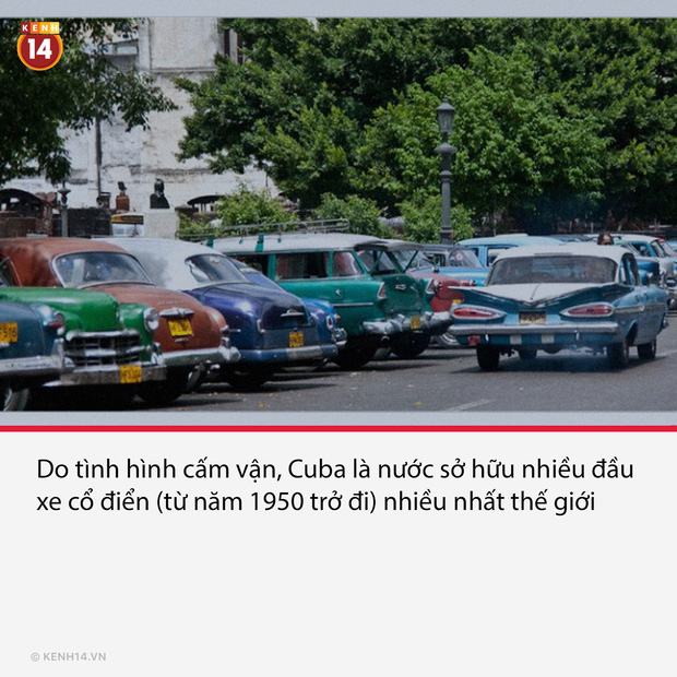 17 sự thật lịch sử thú vị nhưng ít người biết tới, thể hiện với crush đảm bảo uy tín luôn - Ảnh 13.