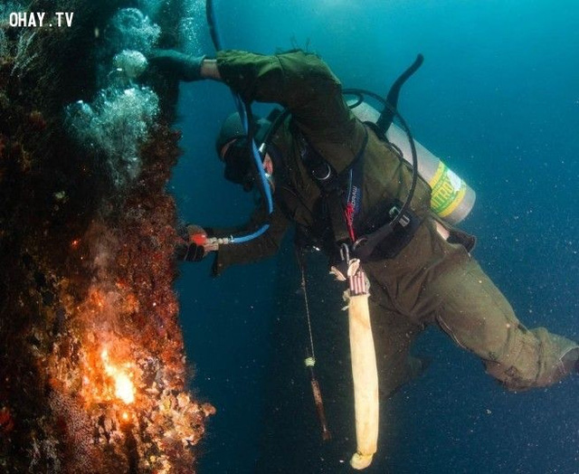 8 nghề nghiệp nghe đến đã ái ngại nhưng kiếm được bộn tiền, tuy nhiên nghề cuối cùng dâng tiền tận tay không ai dám nhận - Ảnh 5.