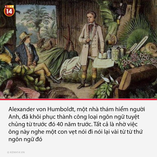 17 sự thật lịch sử thú vị nhưng ít người biết tới, thể hiện với crush đảm bảo uy tín luôn - Ảnh 7.