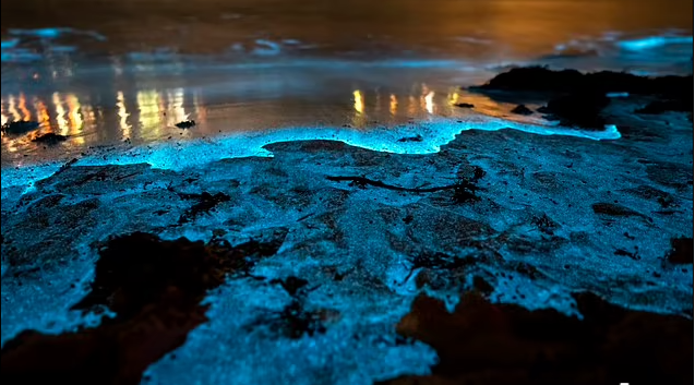 Bãi biển rực sáng trong một hiện tượng thiên nhiên hiếm gặp - Ảnh 1.