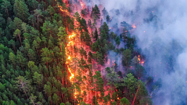 Vì sao cháy rừng ngày càng cuồng bạo? Là vì một quả bom nổ chậm nhân loại vô tình tạo ra sau hàng thập kỷ chống lại giặc lửa - Ảnh 5.