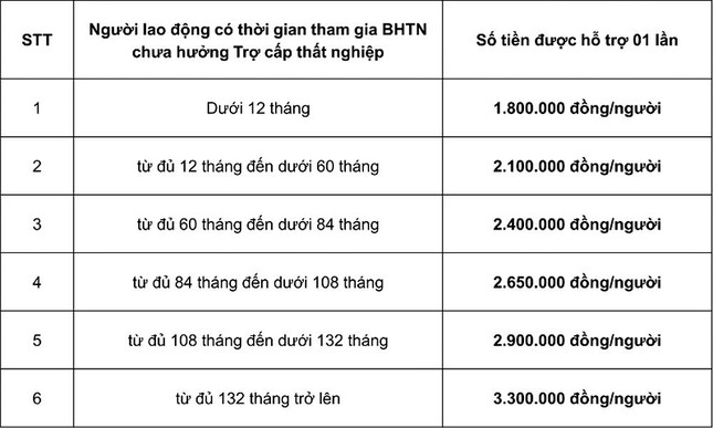  Người lao động cần làm gì để nhận được hỗ trợ từ gói 38 nghìn tỷ đồng?  - Ảnh 1.