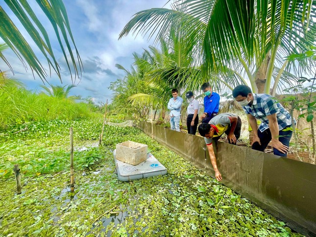 Chàng trai xứ voi thu nhập trăm triệu đồng mỗi năm nhờ nuôi ốc nhồi - Ảnh 3.