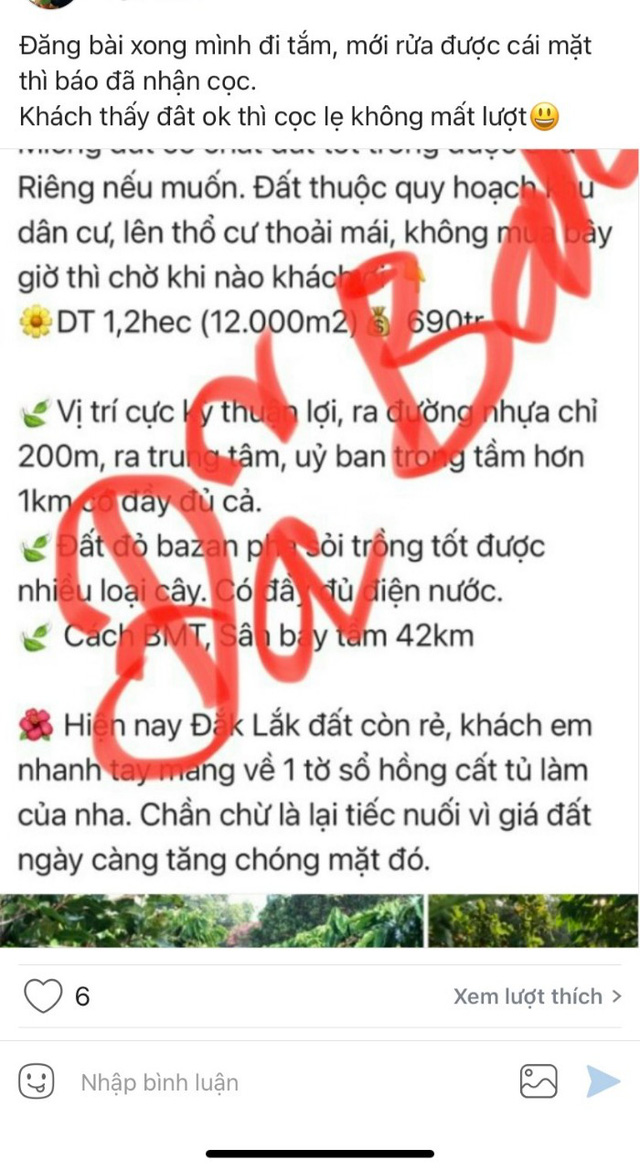 Dịch căng thẳng tại các TP lớn, đất quê bỗng nóng bỏng tay: Vài trăm triệu mua cả ngàn m2, chưa kịp rao đã có người cọc - Ảnh 1.