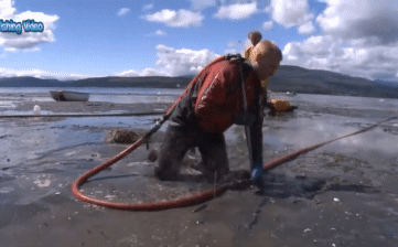 Nhóm người dùng vòi xịt áp suất cao để 'khoan' xuống cát bùn, kết quả bội thu