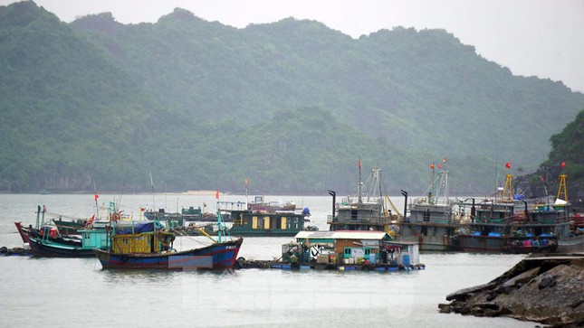 Hải Phòng dừng tuyến cáp treo, đóng bến phà ra đảo Cát Bà - Ảnh 1.