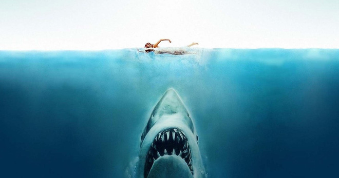 Nghiên cứu minh oan cho sát thủ đại dương: Cá mập tấn công nhầm con người do nhầm lẫn - Ảnh 5.