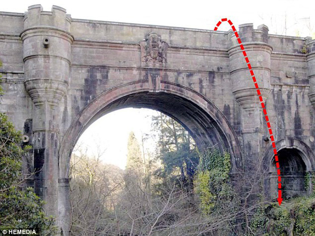 Bí ẩn cây cầu rùng rợn nơi 600 chú chó nhảy xuống tự tử trong 70 năm qua - Ảnh 5.