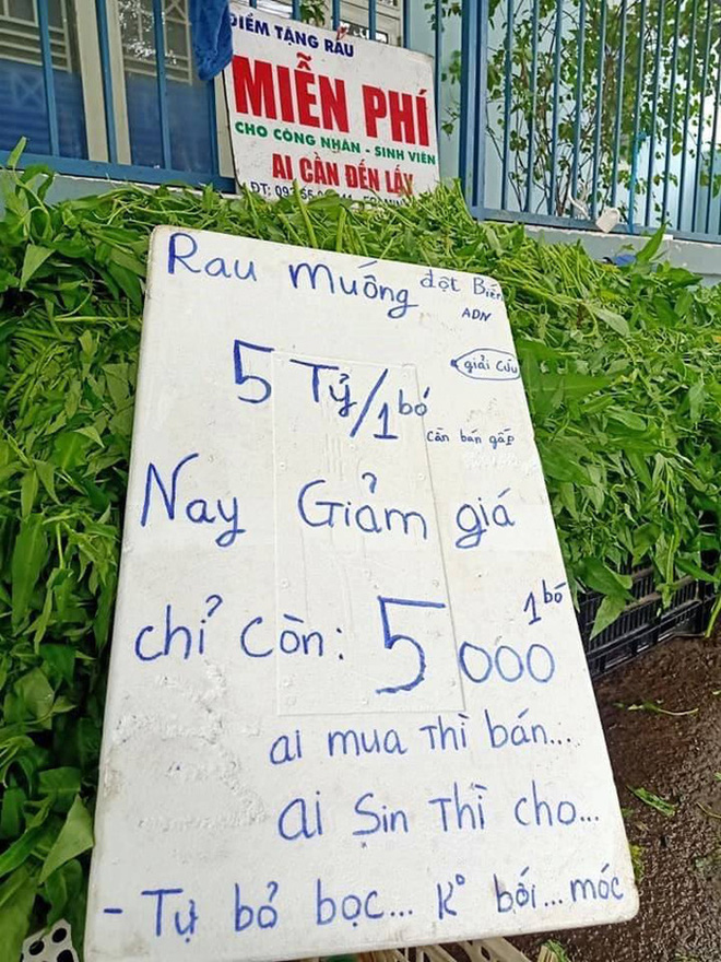 Khách đi chợ định buôn chuyện thì vội câm nín khi thấy tấm biển trước quầy rau: Đúng là anh bán rau “trái gió trở trời” nhất Việt Nam! - Ảnh 3.