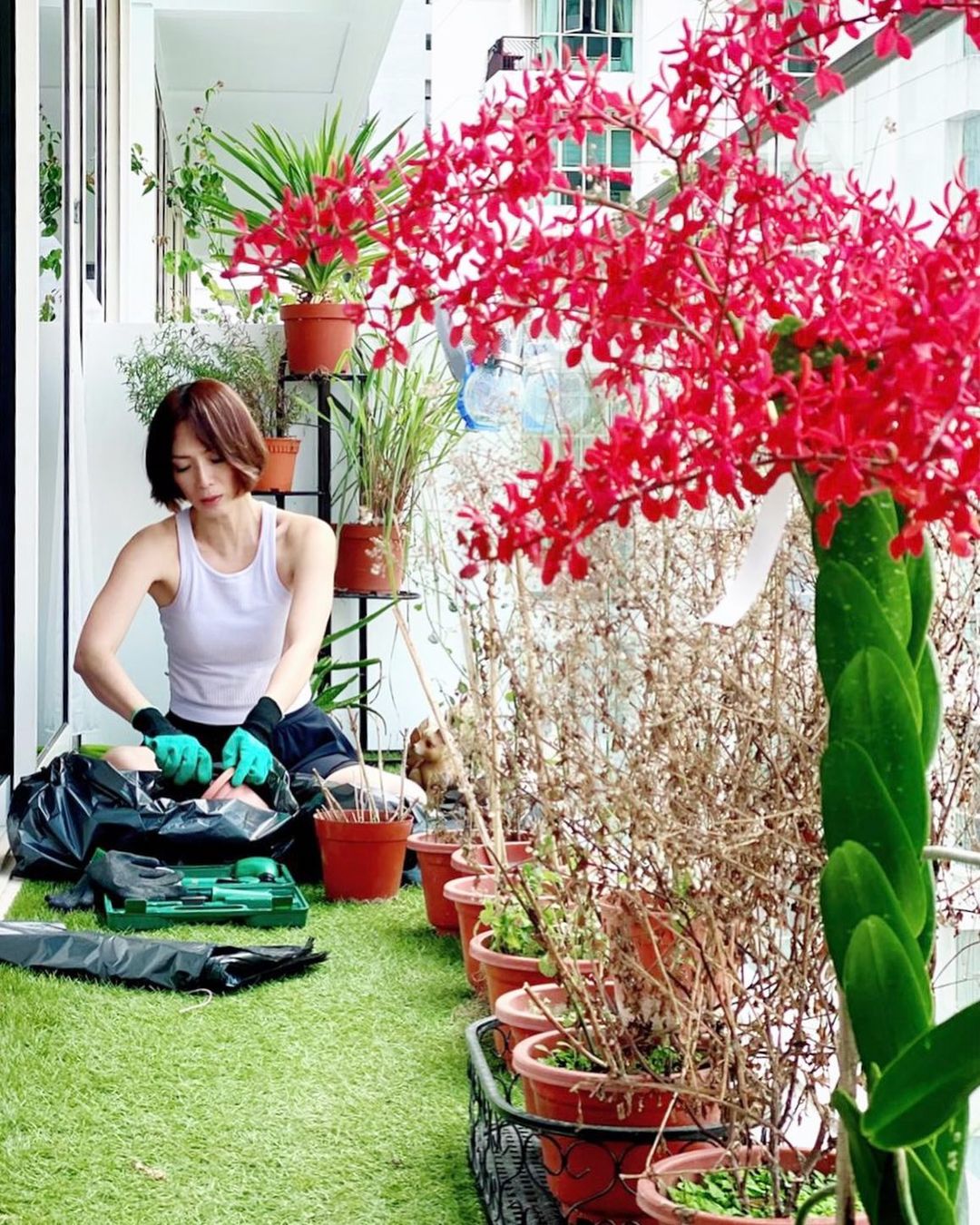 Mỹ nữ Tiếu ngạo giang hồ bị bạn trai lừa tiền, phải mở tiệm mát-xa trả nợ, 1 mình nuôi con - Ảnh 10. Mỹ nữ Tiếu ngạo giang hồ bị bạn trai lừa tiền, phải mở tiệm mát-xa trả nợ, 1 mình nuôi con - Ảnh 10.