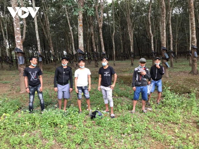 6 bệnh nhân bỏ trốn khi đang điều trị Covid-19, lẩn trốn ở lô cao su - Ảnh 1. 6 bệnh nhân bỏ trốn khi đang điều trị Covid-19, lẩn trốn ở lô cao su - Ảnh 1.