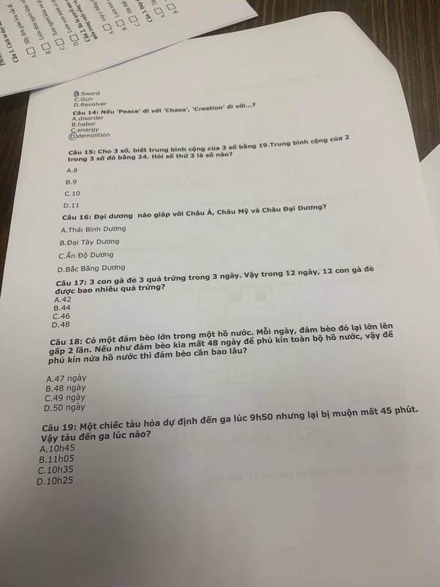 Phỏng vấn đánh đố như thi đại học: 3 con gà đẻ 3 quả trứng trong 3 ngày. Hỏi 12 con gà trong 12 ngày đẻ bao nhiêu quả trứng? - Ảnh 1. Phỏng vấn đánh đố như thi đại học: 3 con gà đẻ 3 quả trứng trong 3 ngày. Hỏi 12 con gà trong 12 ngày đẻ bao nhiêu quả trứng? - Ảnh 1.