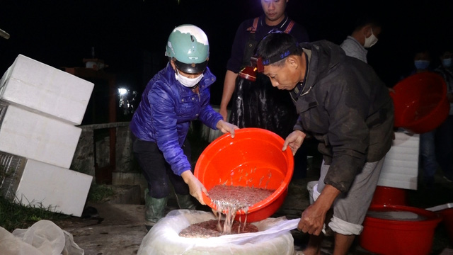 Rươi đầu mùa đắt như tôm tươi, người nông dân Hải Dương kiếm trăm triệu đồng mỗi đêm - Ảnh 1.