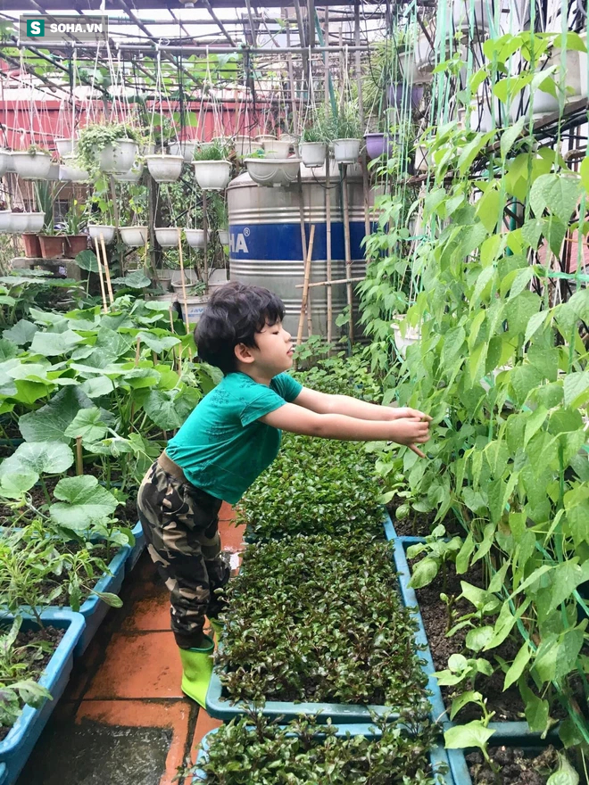 Cô giáo Hà Nội mát tay trồng cả chợ rau trên 30m2 sân thượng, người ở quê lên cũng phải nể - Ảnh 4.