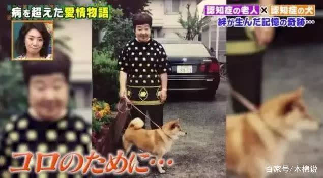 Chó Shiba và chủ mắc bệnh mất trí nhớ gặp lại sau 2 năm: Cái kết làm nhiều người cay mắt - Ảnh 4.