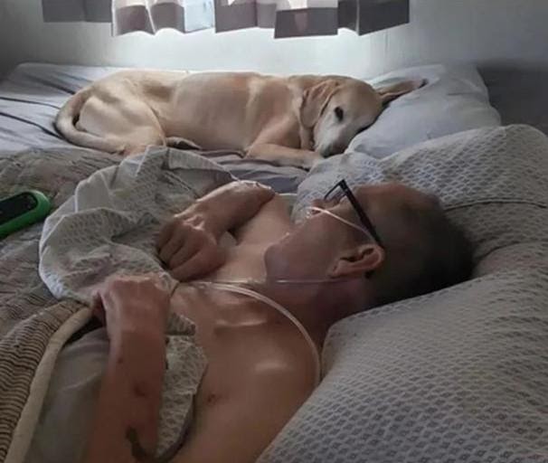 Chú chó nằm canh giường bệnh chủ nhân ung thư suốt 9 năm, cả hai lìa đời cách nhau 90 phút - Ảnh 2.