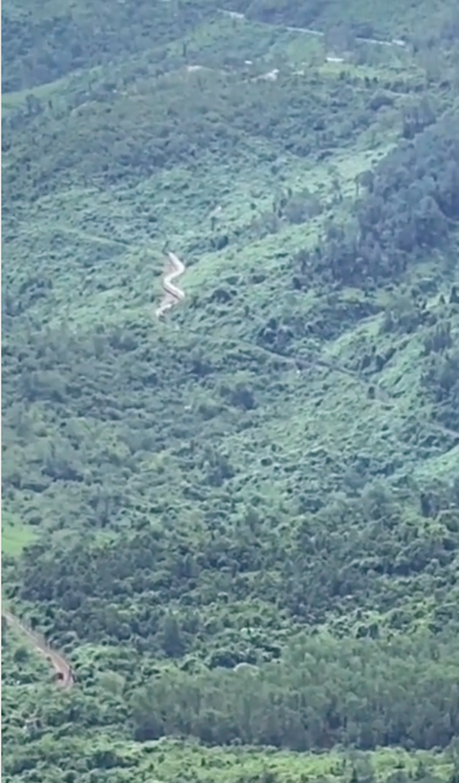 Thực hư cảnh rắn hổ mây khổng lồ bò trườn quanh núi ở Việt Nam - Ảnh 2.