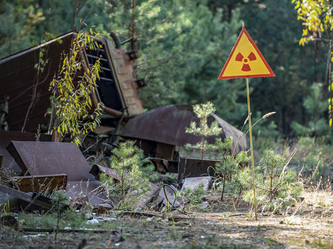 Các nhà khoa học bất ngờ phát hiện một loại nấm lạ trên tường của lò phản ứng hạt nhân Chernobyl - Ảnh 5.
