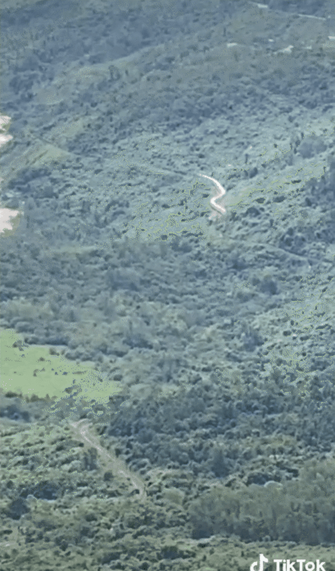 Cận cảnh con rắn hổ mây khổng lồ ở núi rừng Việt Nam gây xôn xao: Hoành tráng thế này cơ mà! - Ảnh 3.