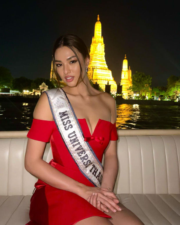 Hoa hậu Thái Lan bị kiện vì đứng lên quốc kỳ trong bức ảnh quảng bá Miss Universe - Ảnh 5.