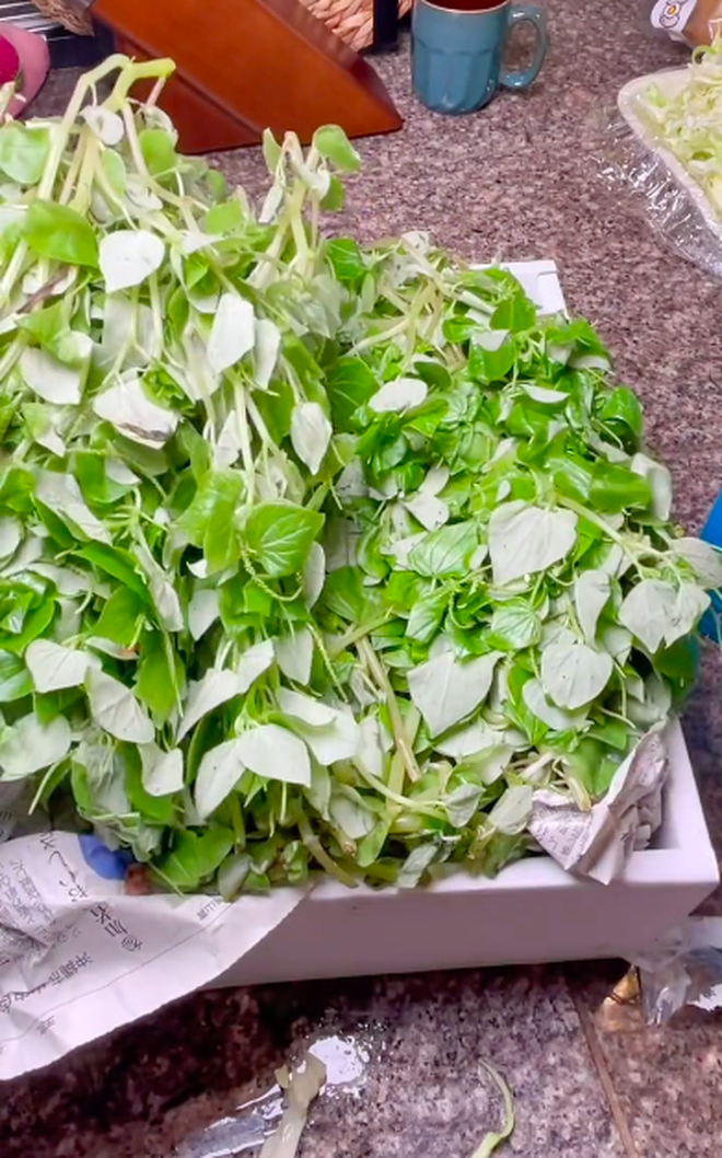 Loại rau mọc dại đầy vùng quê Việt Nam nhưng sang đến Nhật có giá 500k/2kg, lâu lâu thèm lắm mới dám mua ăn? - Ảnh 4.