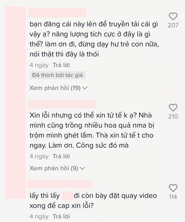 Một cô gái tung clip đi hái trộm đu đủ, bị lên án gay gắt không sợ còn cãi lại tay đôi: Quả đu đủ không đáng để nói em vô học đâu! - Ảnh 2.