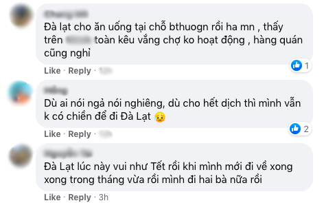 Thực hư chuyện Đà Lạt vắng teo, quán xá - khách sạn đóng cửa hết: Hai khoảnh khắc này sẽ giải đáp phần nào - Ảnh 3.