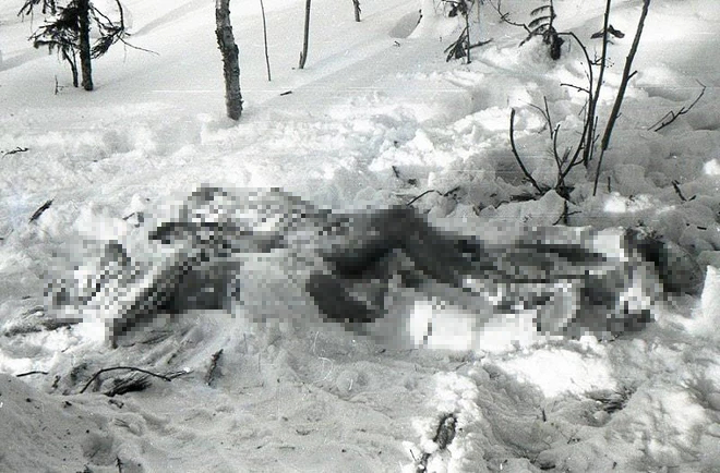 Chuyên gia Liên Xô đau đầu giải bí ẩn 9 thi thể bán khỏa thân sau khi leo núi - Ảnh 5.