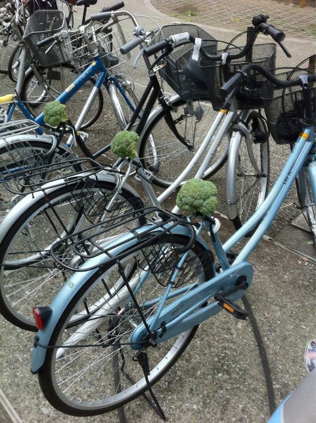 Ăn trộm hàng loạt yên xe đạp rồi cắm bông cải xanh vào khiến chủ xe ức chế không làm gì nổi - Ảnh 7.