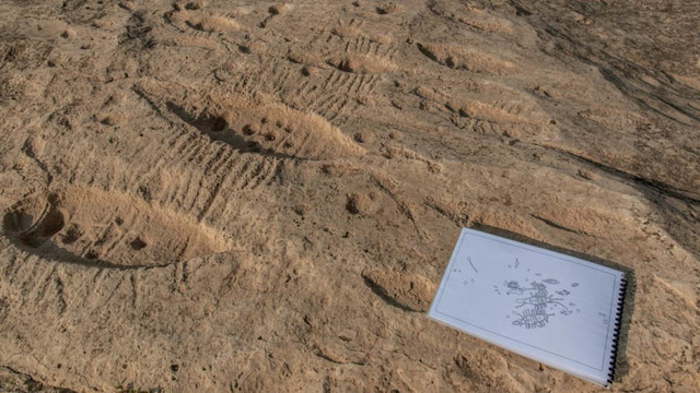 Giải mã bức chạm khắc bí ẩn trên sa mạc tại Qatar - Ảnh 3.