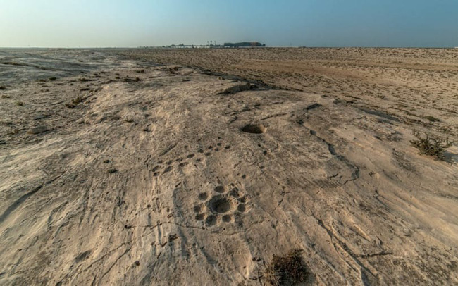 Giải mã bức chạm khắc bí ẩn trên sa mạc tại Qatar - Ảnh 1.
