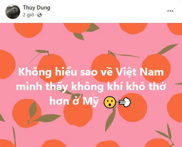 Giữa bão chỉ trích status Việt Nam khó thở hơn Mỹ, Hoa hậu Thuỳ Dung bị đào bảng điểm THPT thấp đến sốc, suýt ở lại lớp - Ảnh 3.