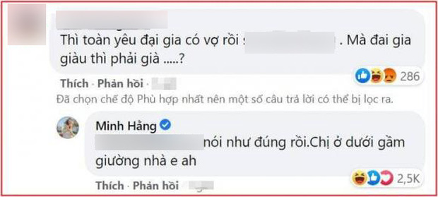 Minh Hằng bị mỉa mai cặp kè đại gia có vợ, chính chủ phản ứng thế nào? - Ảnh 1.